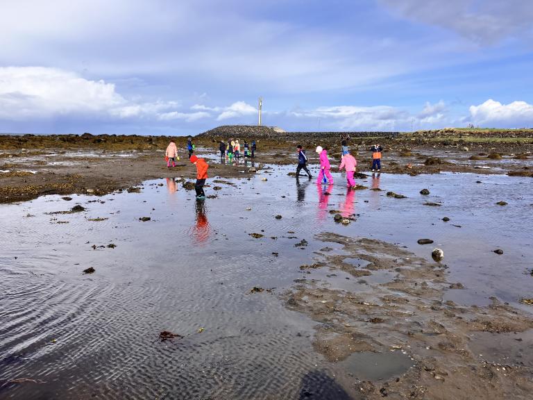Fjöruferð